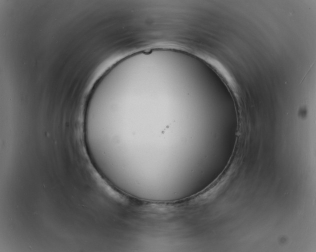 X0000101690910200807241406