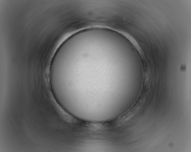 X0000101690911200807241406