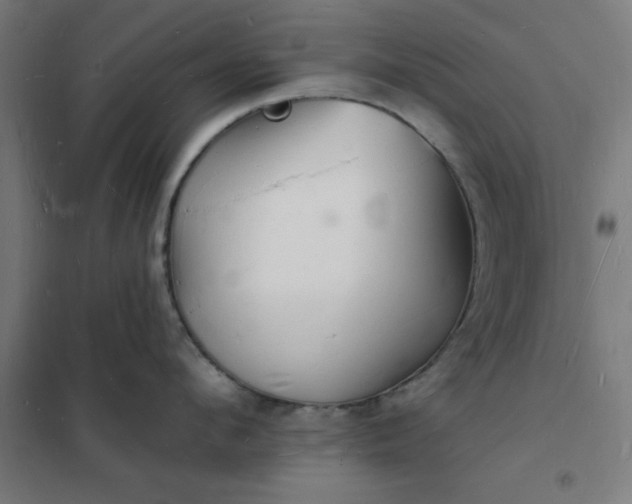 X0000101690912200807241406