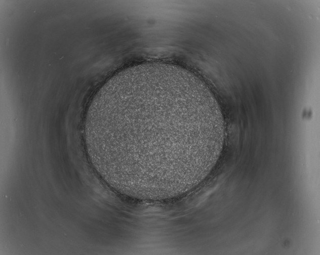 X0000101690913200807241405