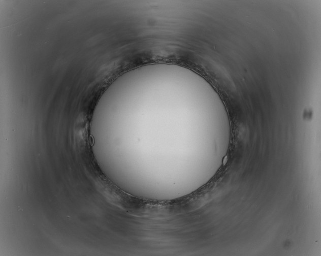 X0000101690914200807241405