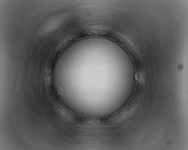 X0000101690915200807241405