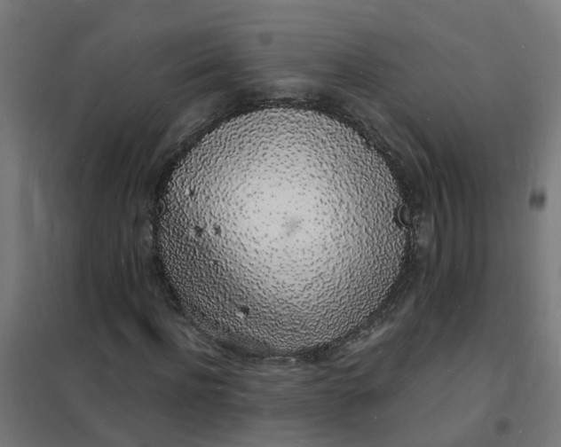 X0000101690916200807241405