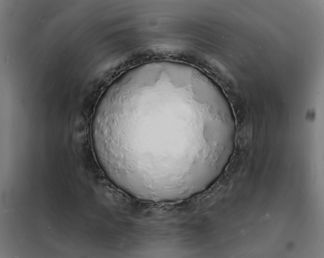 X0000101690917200807241405