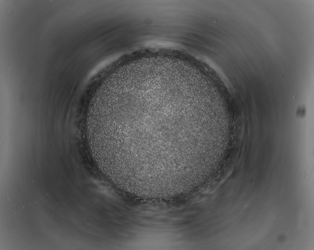 X0000101690919200807241405