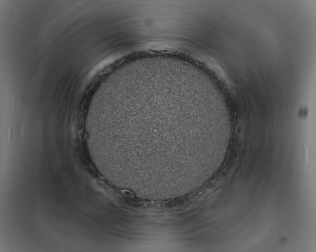 X0000101690920200807241405