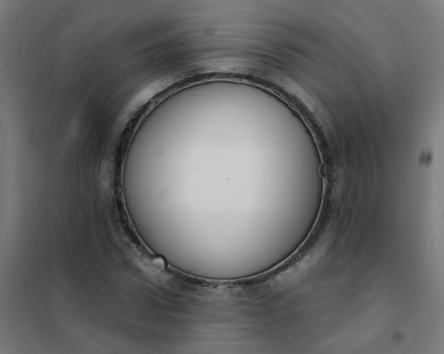 X0000101690922200807241405