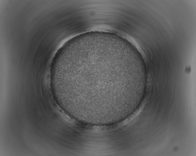 X0000101690923200807241405