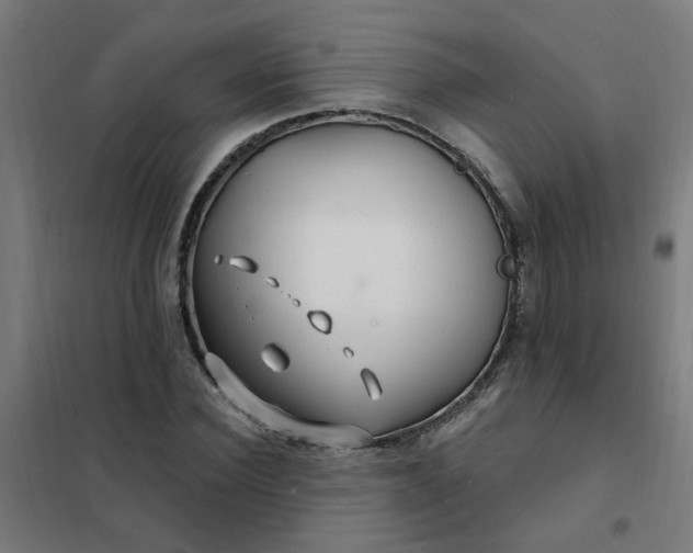 X0000101690924200807241405