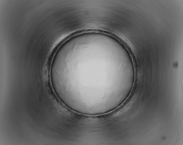 X0000101690925200807241405