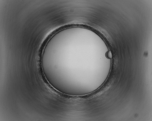 X0000101690926200807241406