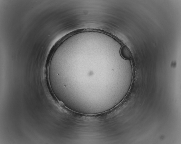 X0000101690928200807241406