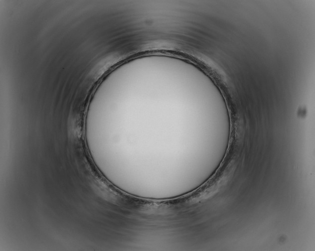 X0000101690929200807241406