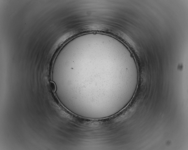 X0000101690930200807241406