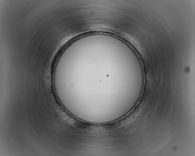 X0000101690931200807241406