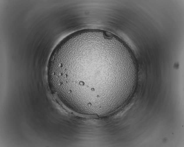 X0000101690932200807241406