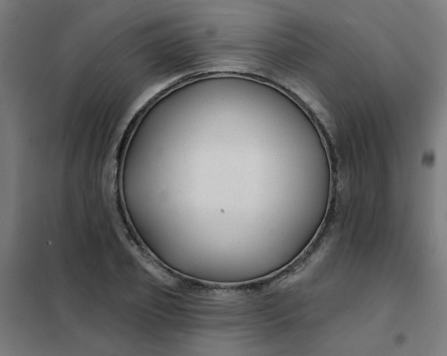 X0000101690933200807241406