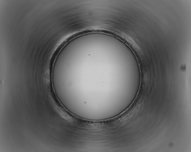 X0000101690934200807241406