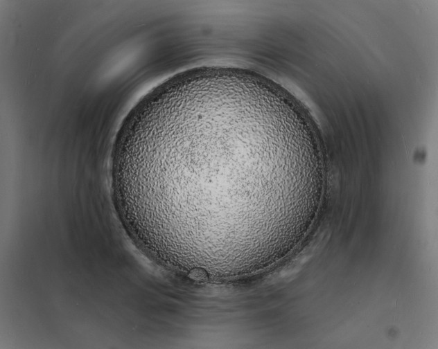 X0000101690935200807241406