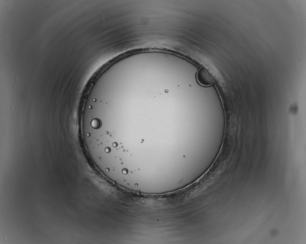 X0000101690936200807241406