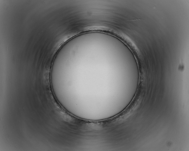 X0000101690937200807241406