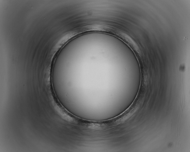 X0000101690938200807241406