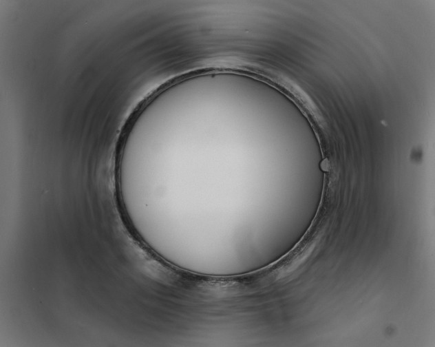 X0000101690939200807241406