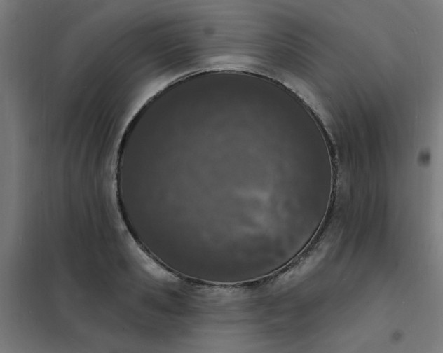 X0000101690941200807241406