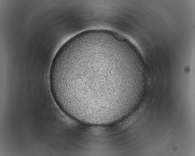 X0000101690943200807241406