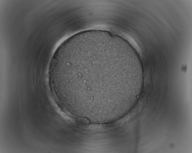 X0000101690944200807241406