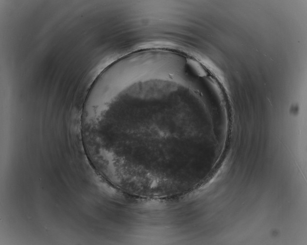 X0000101690945200807241406