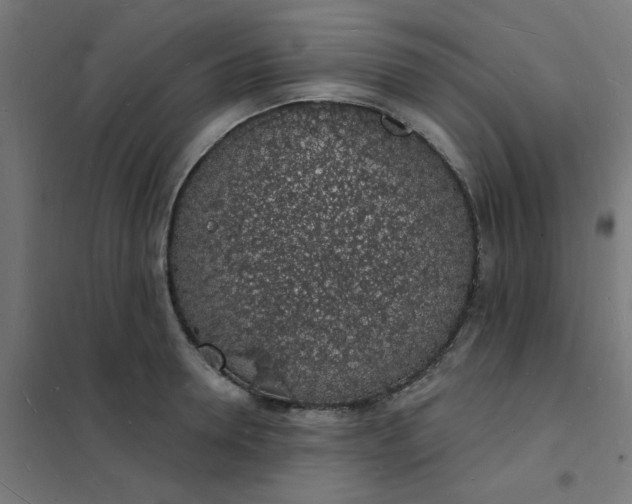 X0000101690946200807241406