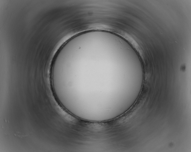 X0000101690947200807241406