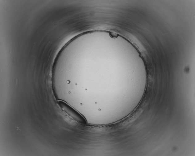 X0000101690948200807241406