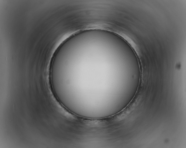 X0000101690949200807241406