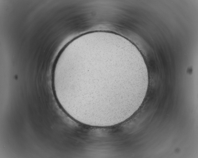 X0000101690950200807241406