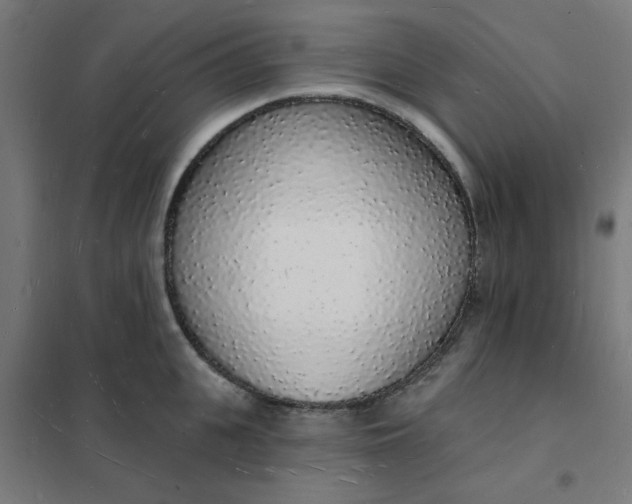 X0000101690951200807241406