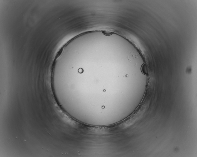 X0000101690952200807241406