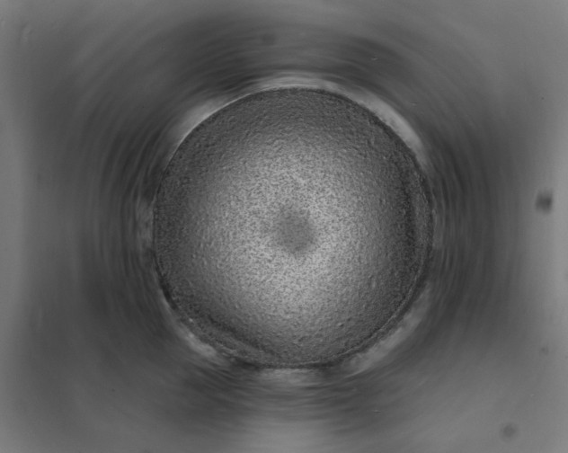 X0000101690953200807241406