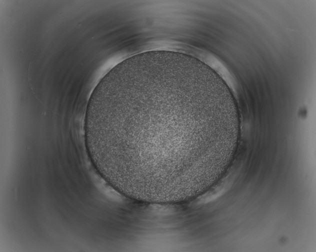 X0000101690954200807241406