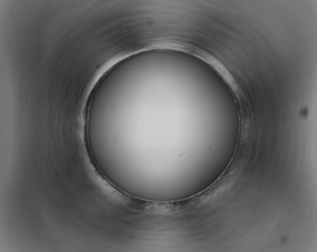 X0000101690955200807241406