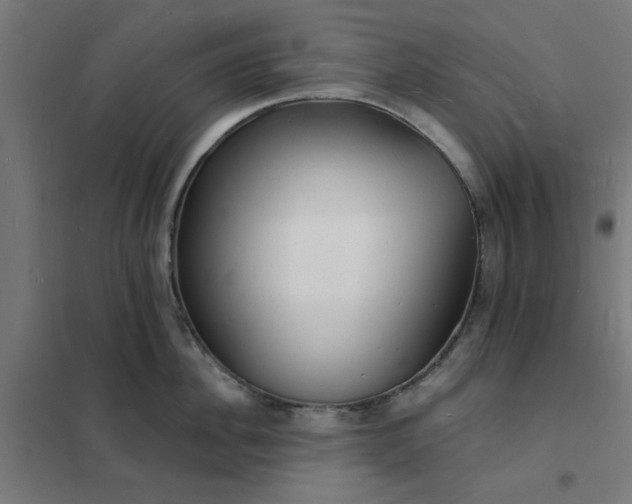 X0000101690956200807241406