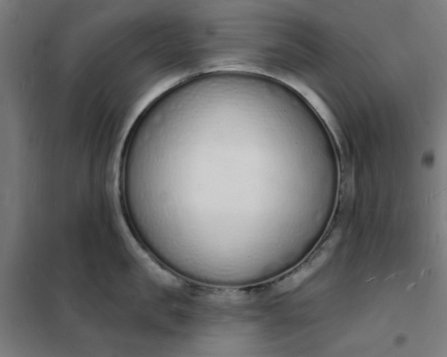 X0000101690957200807241406