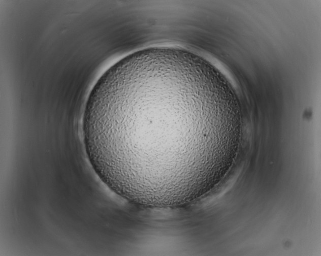 X0000101690959200807241406