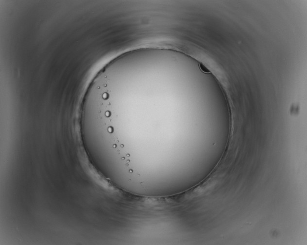 X0000101690960200807241406