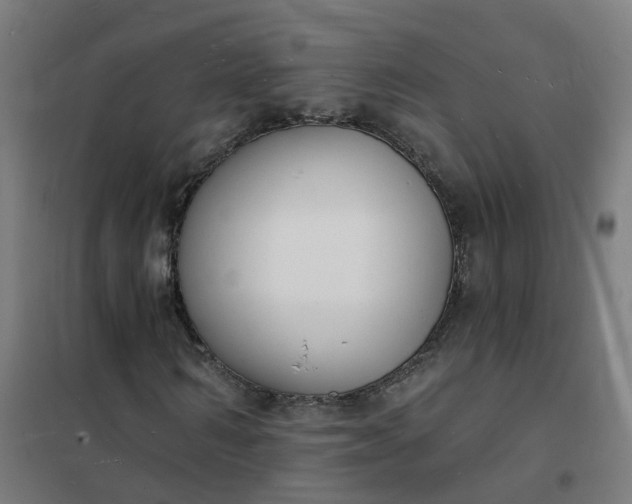 X0000101690962200807241405