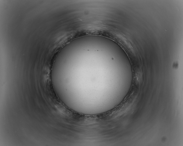 X0000101690964200807241405