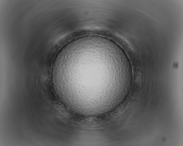 X0000101690966200807241405