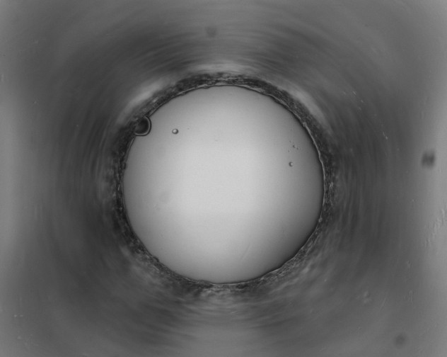 X0000101690967200807241405