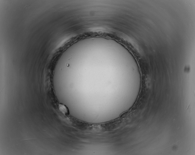 X0000101690968200807241405